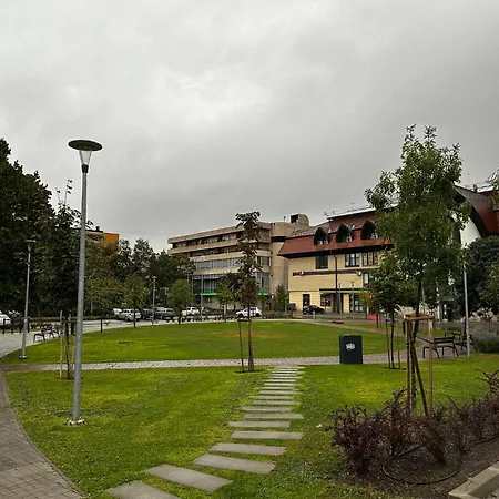 Rakoczi *